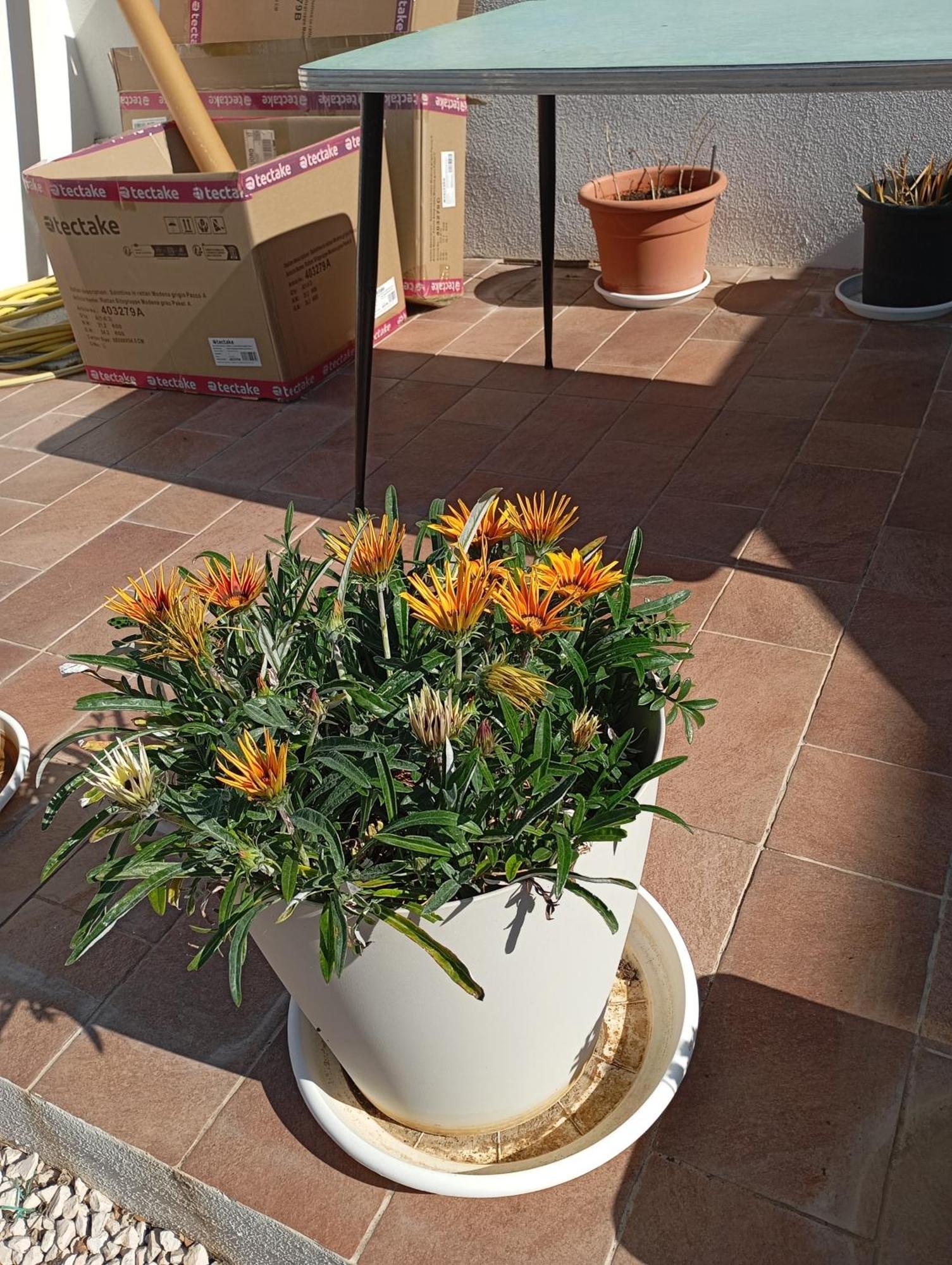 Casa Pipere Daire Santa Lucia  Dış mekan fotoğraf