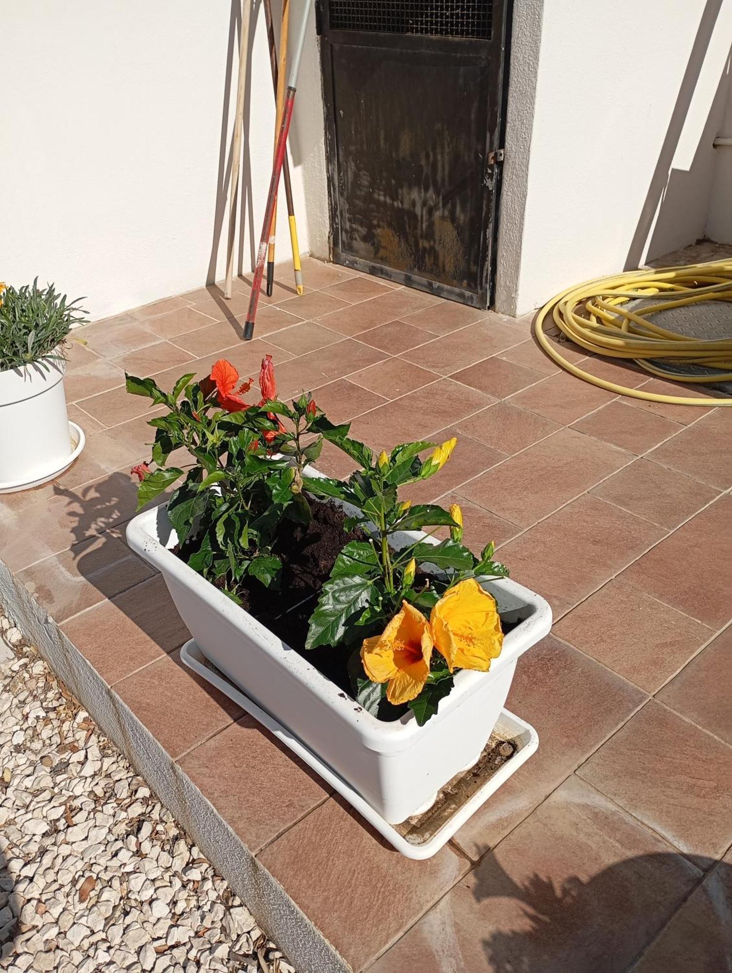 Casa Pipere Daire Santa Lucia  Dış mekan fotoğraf